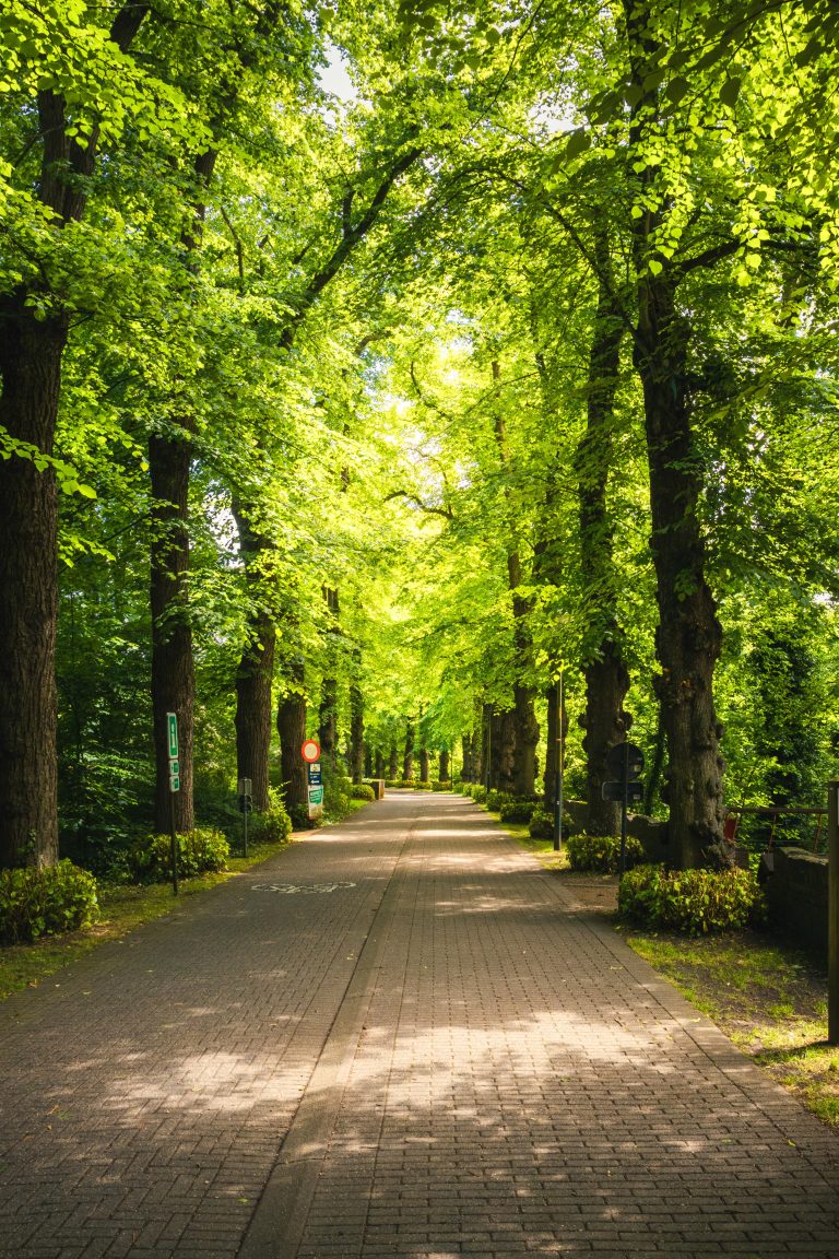 🌿 Şükran Dolu Bir Hayat İçin İlham Veren Sözler
